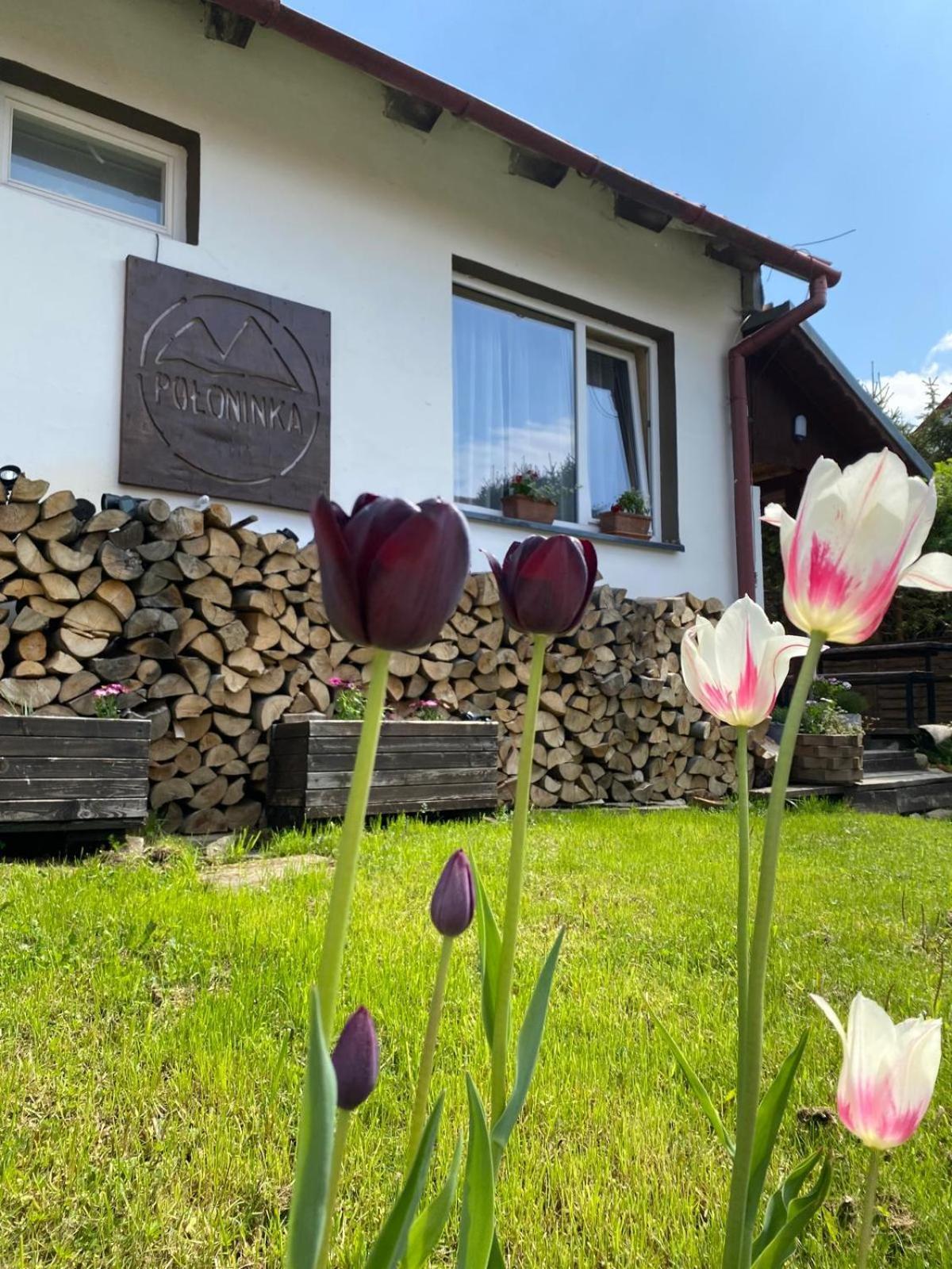Poloninka Pokoje Ustrzyki Górne Buitenkant foto